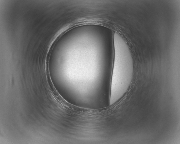 X0000078830148200611130941