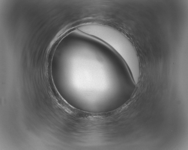 X0000078830150200611130941