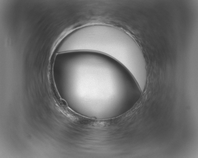 X0000078830152200611130941