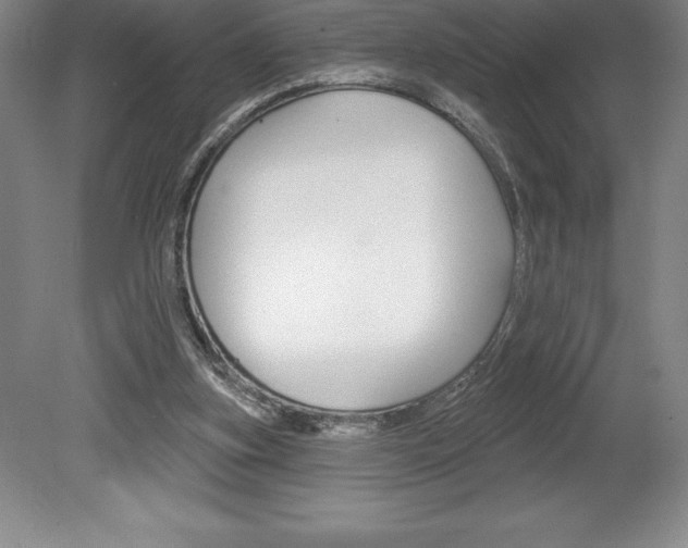 X0000078830155200611130941