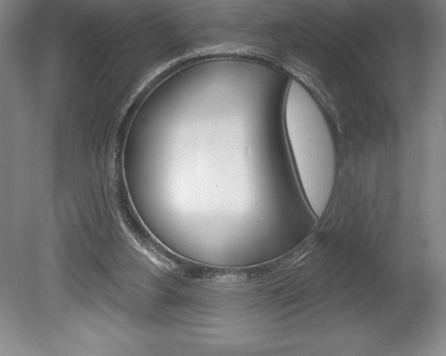 X0000078830156200611130941