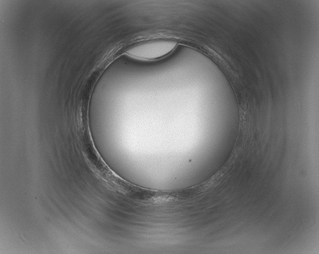 X0000078830158200611130941