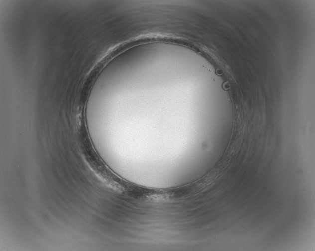 X0000078830160200611130941