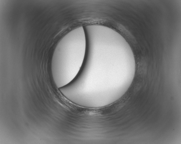 X0000078830165200611130941
