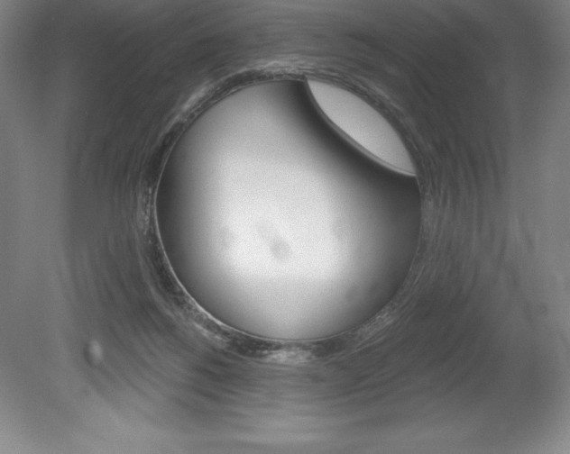 X0000078830168200611130941
