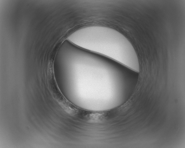 X0000078830172200611130941