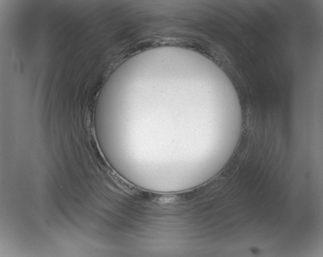 X0000078830173200611130941