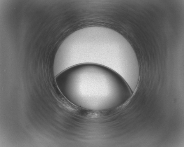 X0000078830174200611130941
