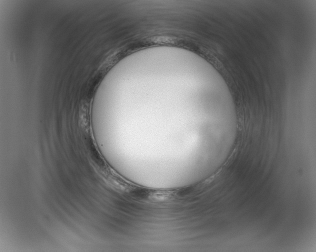 X0000078830175200611130941