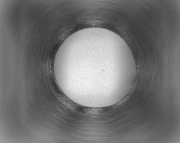 X0000078830182200611130941