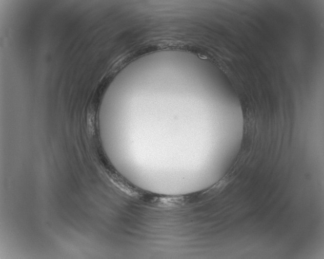 X0000078830188200611130941