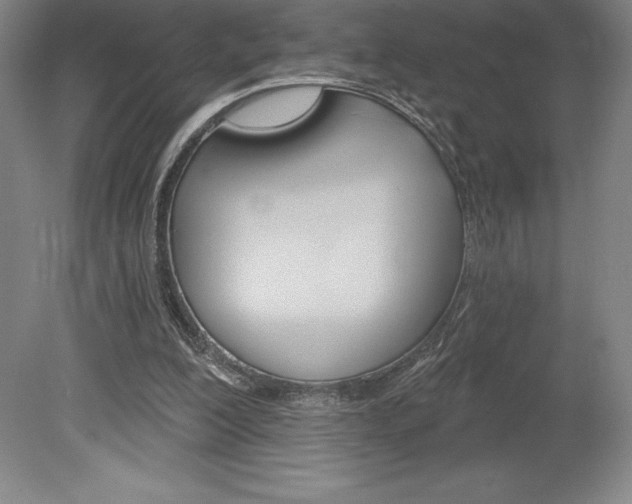 X0000078830200200611130940