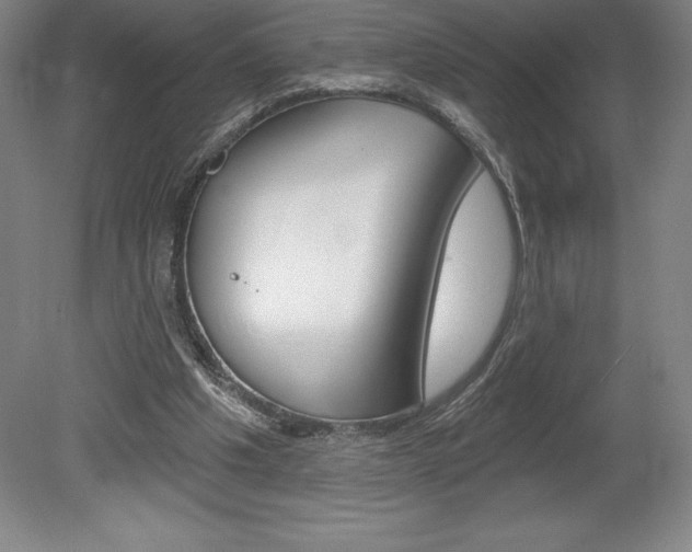 X0000078830201200611130940