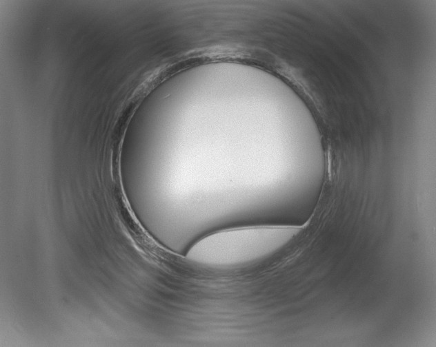 X0000078830205200611130940