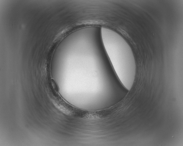 X0000078830207200611130940