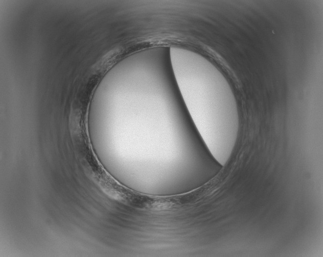 X0000078830209200611130940