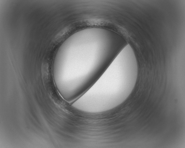 X0000078830211200611130940