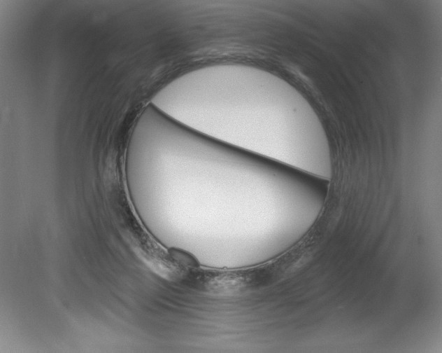 X0000078830213200611130940