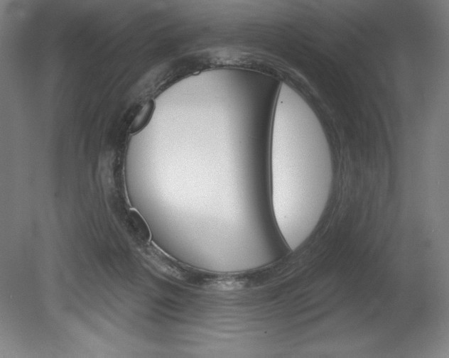 X0000078830217200611130940