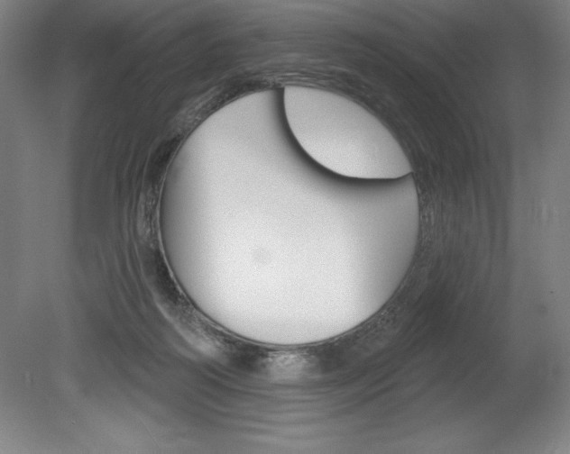 X0000078830218200611130940