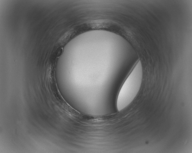 X0000078830219200611130940