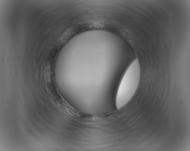 X0000078830223200611130940