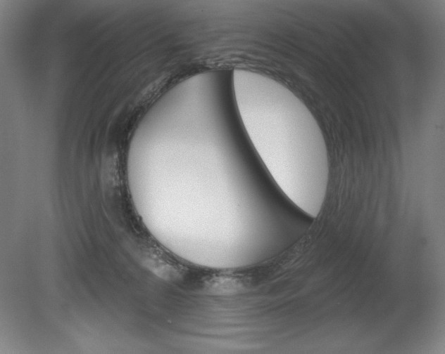 X0000078830224200611130940
