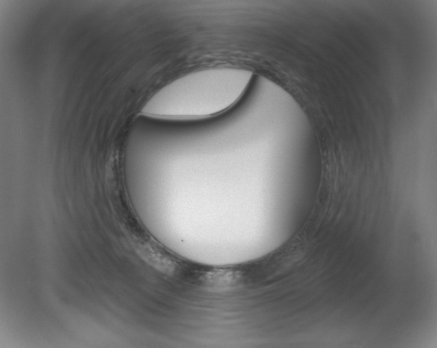 X0000078830225200611130940