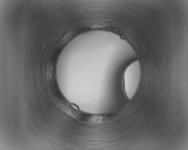X0000078830227200611130940