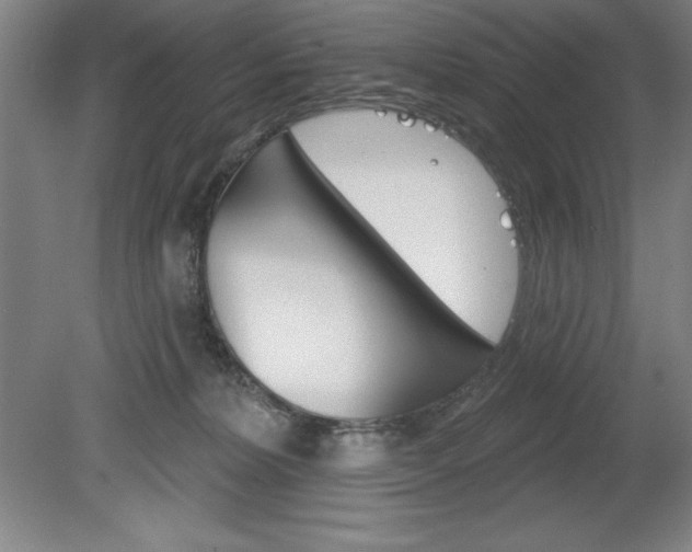 X0000078830228200611130940