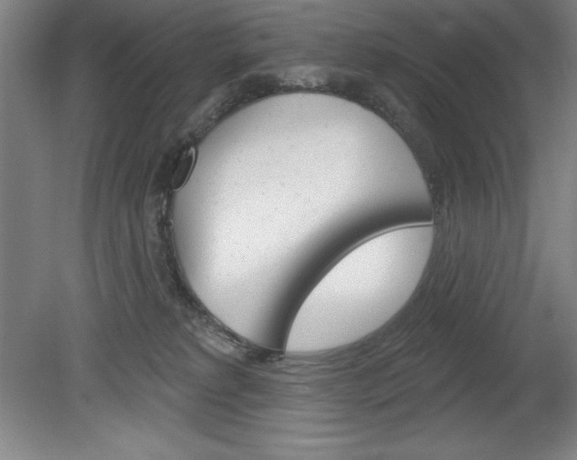 X0000078830229200611130940