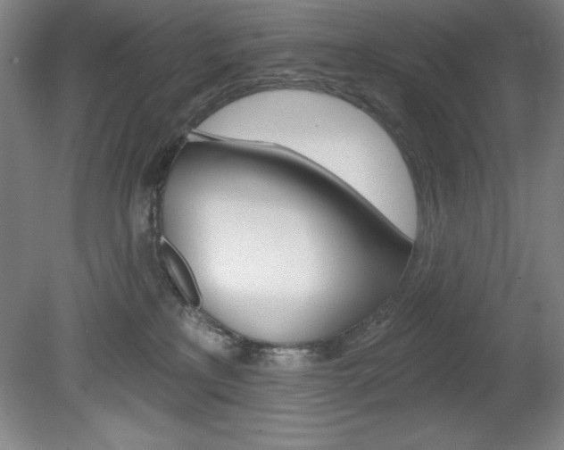 X0000078830233200611130940
