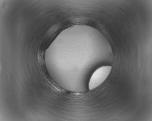 X0000078830239200611130940