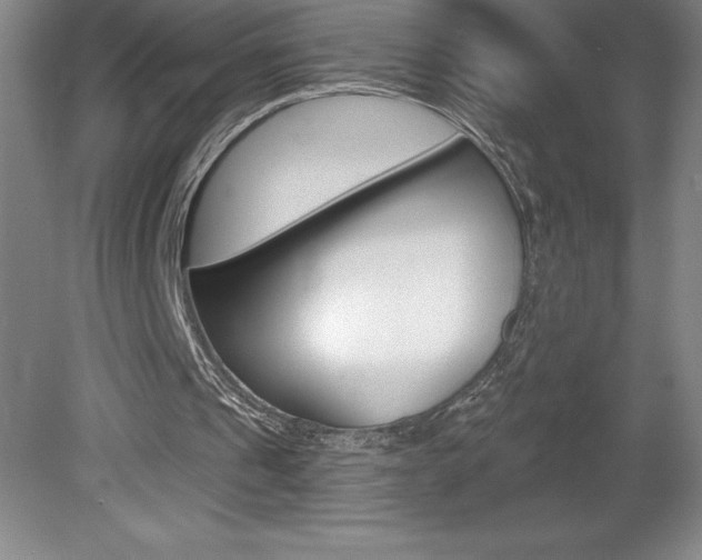 X0000078830241200611130939