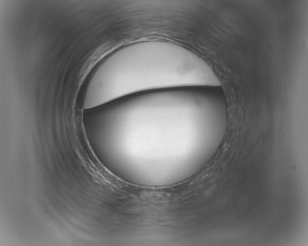 X0000078830242200611130939