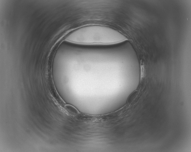 X0000078830243200611130939