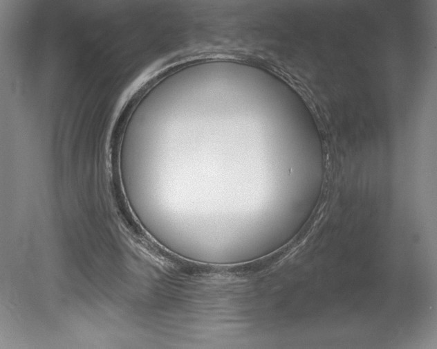 X0000078830246200611130939