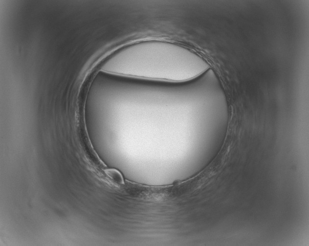 X0000078830247200611130939
