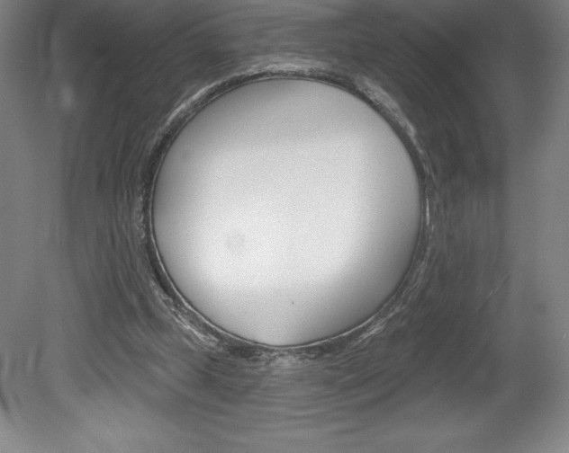 X0000078830249200611130939