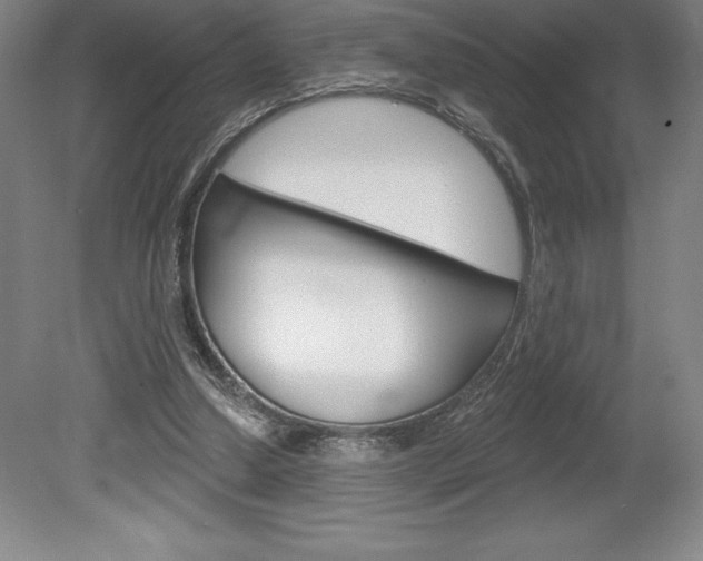 X0000078830250200611130939