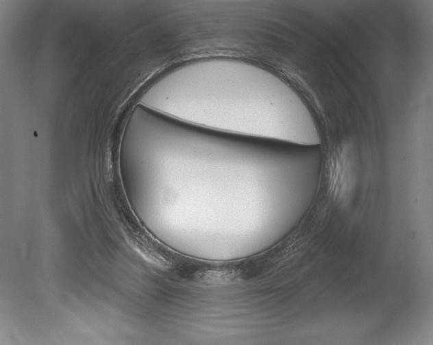 X0000078830251200611130939