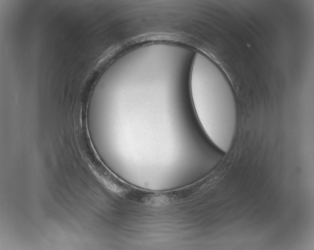 X0000078830253200611130939