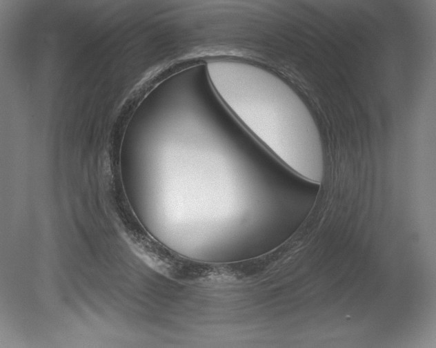 X0000078830256200611130939