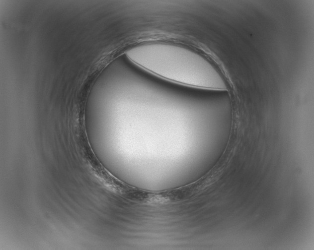 X0000078830257200611130939