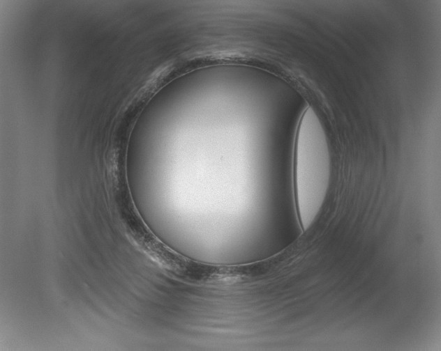 X0000078830260200611130939
