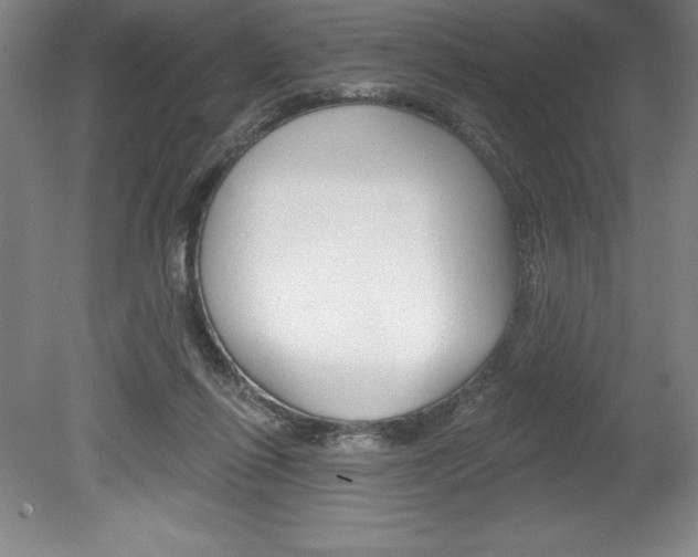 X0000078830262200611130939