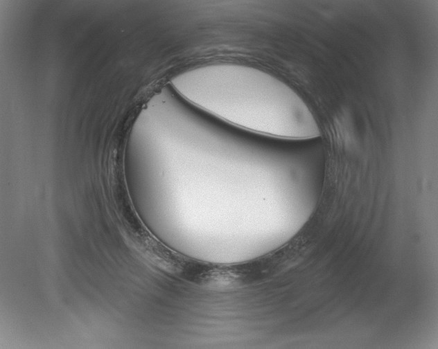 X0000078830263200611130939