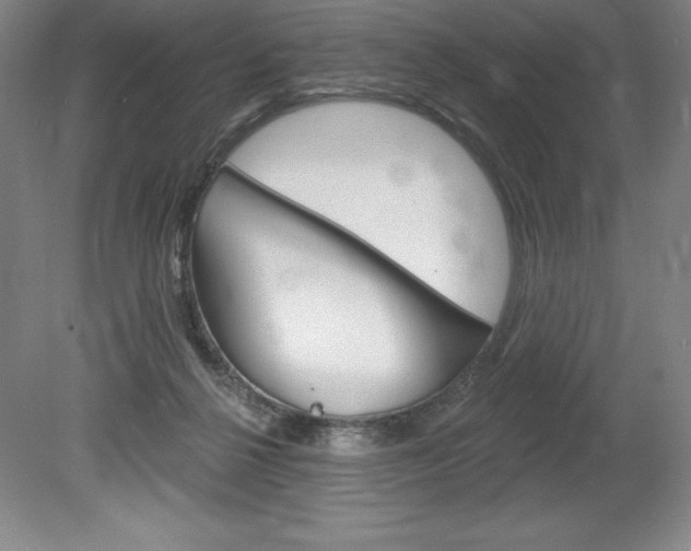 X0000078830264200611130939