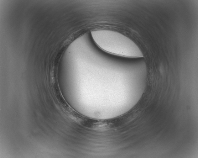 X0000078830267200611130939