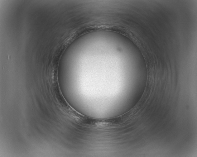 X0000078830268200611130939